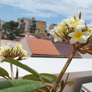 Appartement Plumaria